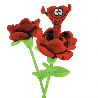 rosa merioneta sant jordi