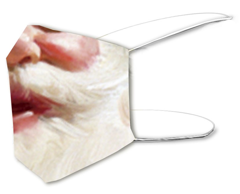 Pack Navidad MA301 - Imagen 3