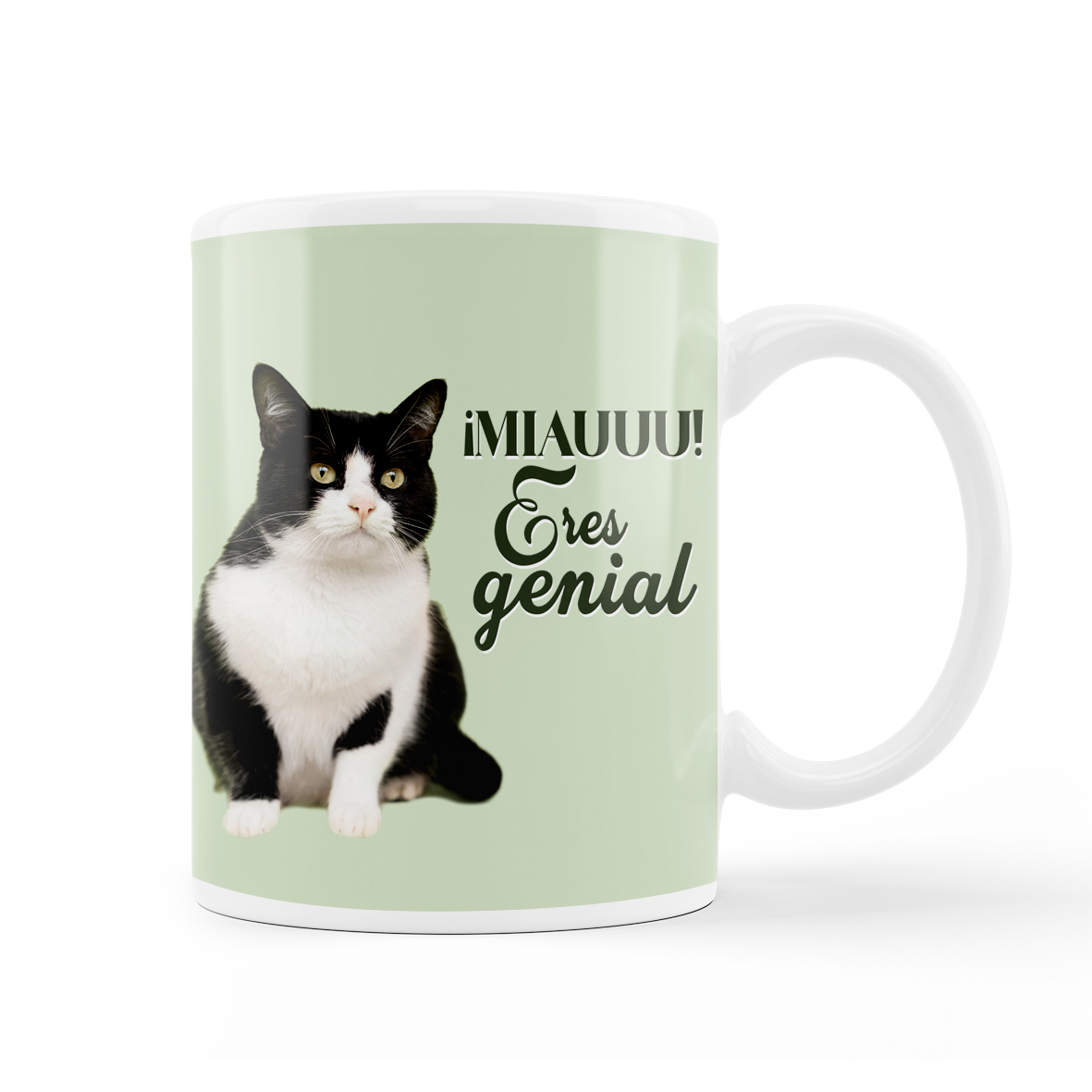 Taza: "¡Miauuu! Eres genial"