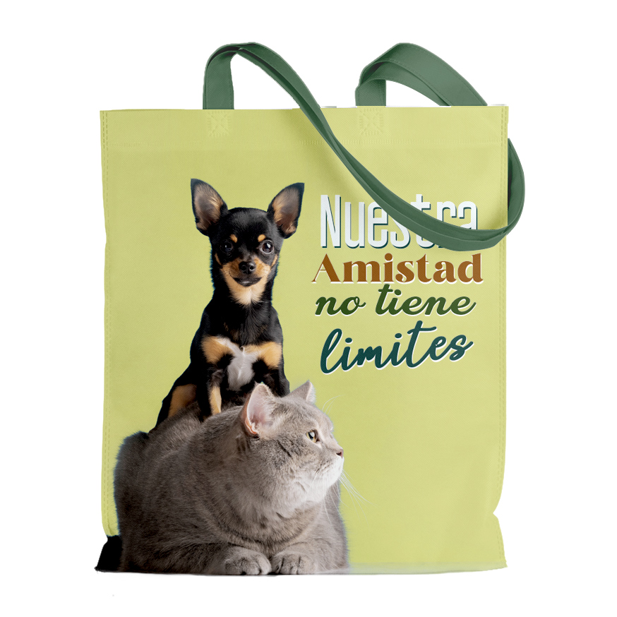 Bolsa Estampada: "Nuestra amistad no tiene limites"