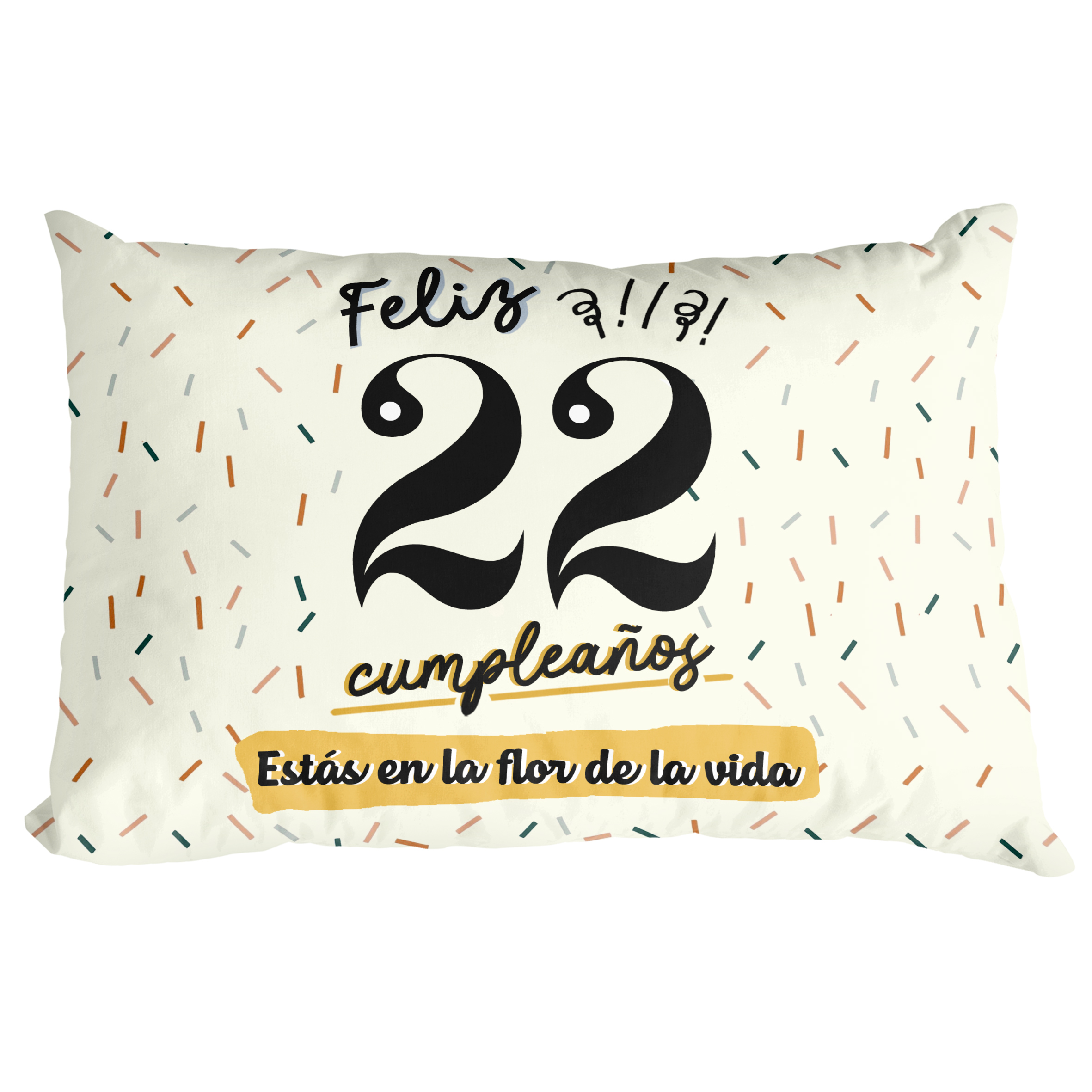 Cojín Lectura: "Feliz 22 Cumpleaños"