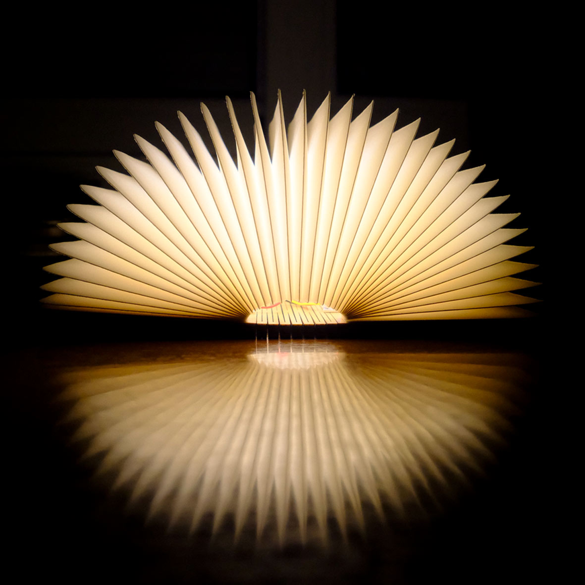lampara libro